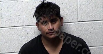 DIAZ ORELLANA, WILIAN ANASTASIO | 2024-12-09 Chase County, Kansas Booking