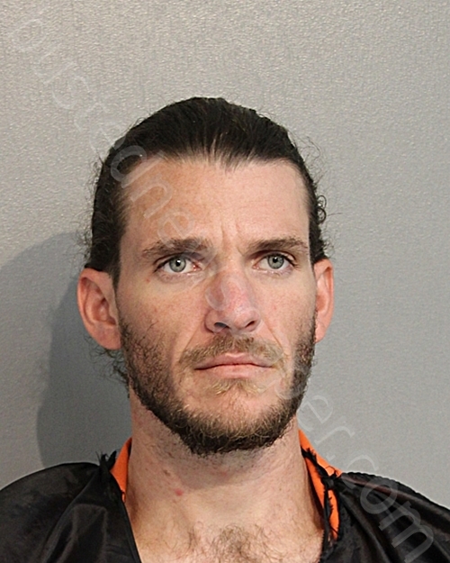 NICHOLAS STEPHEN VLACHOS #, Osceola County, Florida - 2024-12-10