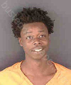 DAVIS, JOSHUA ORYAN | 2024-12-10 Sarasota County, Florida Booking