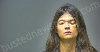 JOHNSON, MASON ANTHONY | 2024-12-10 13:42:00 Isabella County, Michigan Booking
