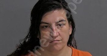 DRAKE, ERIN L | 2024-12-10 Sandusky County, Ohio Booking