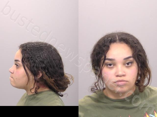 UMPIERRE-ROLDAN, ANGELA MARIE #, Allen County, Ohio - 2024-12-11 16:21:00