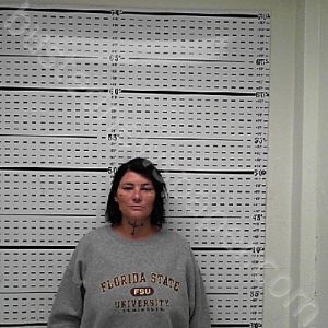 BROWN, ASHLEY NICOLE | 2024-12-11 00:00:01 Jim Wells County, Texas Booking