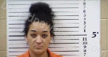 GREENLEE, SHALEES MARIE | 2024-12-11 12:30:00 Cherokee County, North Carolina Booking