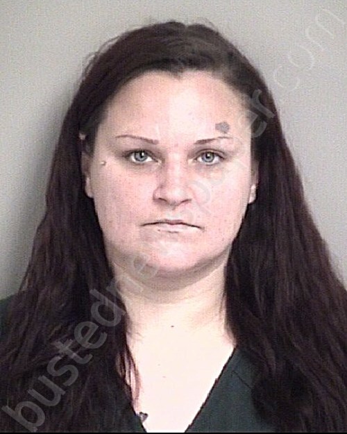 Hill Elizabeth Danielle Cabarrus County North Carolina Booking