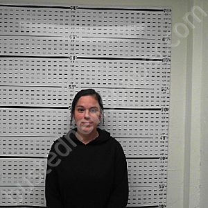 REGALADO, ASHLEY ANAIS | 2024-12-11 04:00:01 Jim Wells County, Texas Booking