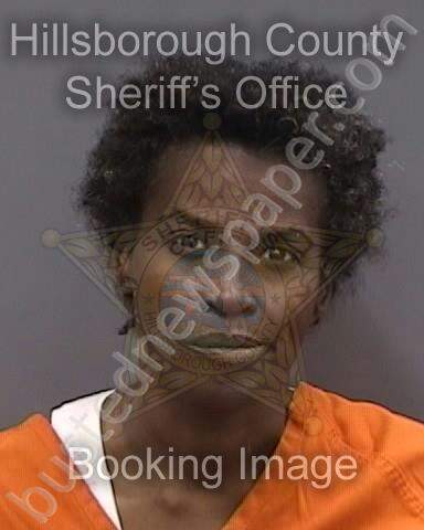HAMMOND,SHIMICA #, Hillsborough County, Florida - 2024-12-12 19:05:00