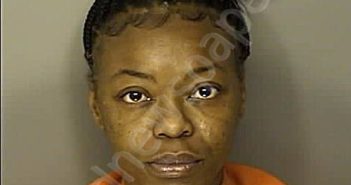 <B>EASON</B> <B>MCKOY</B>, <B>DOMINIQUE</B> <B>JACQUELINE</B> <B>DEMORNA</B> #, Horry County, South Carolina – mugshot - 2024-12-12 10:10:00