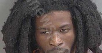 <B>MITCHELL</B>,<B>LIONELL</B> <B>D</B> #, Collier County, Florida - 2024-12-13