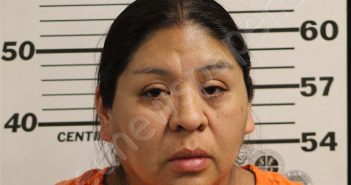 HERNANDEZ, JESSICA MARIE | 2024-12-13 22:56:00 Jackson County, North Carolina Booking