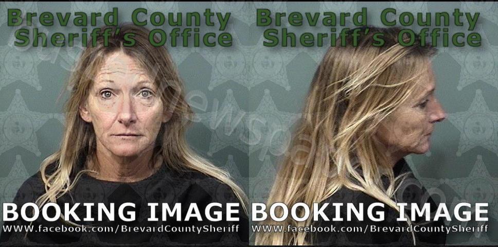 WILLIAMS, KIMBERLY LYNN #, Brevard County, Florida - 2024-12-13 09:56:00