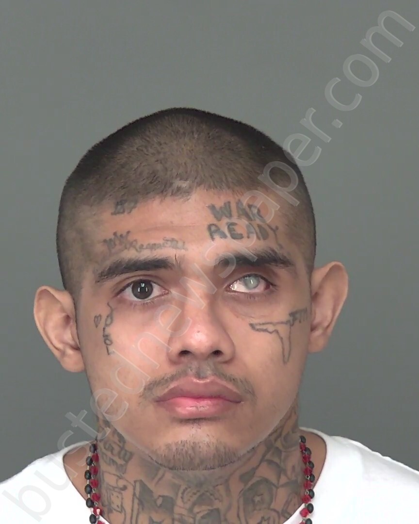 GONZALES, CRISTOVAL SEBASTIAN #, Highlands County, Florida - 2024-12-14 01:02:05