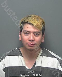 HERNANDEZ, JESSE JOEL | 2024-12-14 02:12:00 Montgomery County, Texas Booking