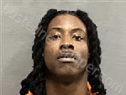 WILLIAMS, DESMOND DEVONTE #, Houston County, Alabama - 2024-12-15 09:46:00