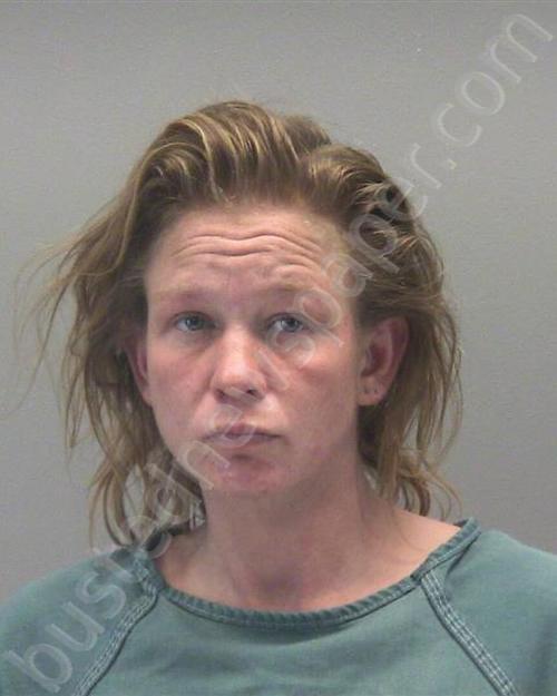 BOGAN, ERICA MARIE #, Montgomery County, Ohio - 2024-12-16 06:00:00