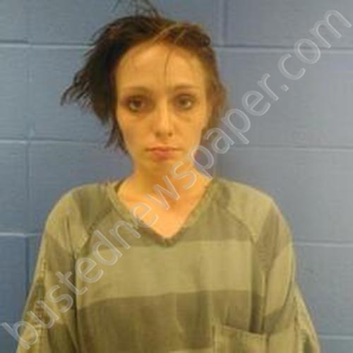 AMBER NICOLE DUNN #, Faulkner County, Arkansas - 2024-12-16 04:55:00