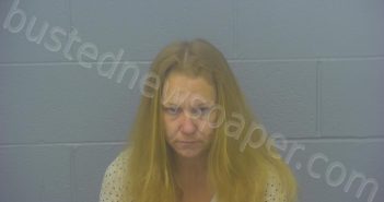 <B>MARTIN</B>, <B>MEGAN</B> LEAH #, Greene County, Missouri - 2024-12-16 15:59:00
