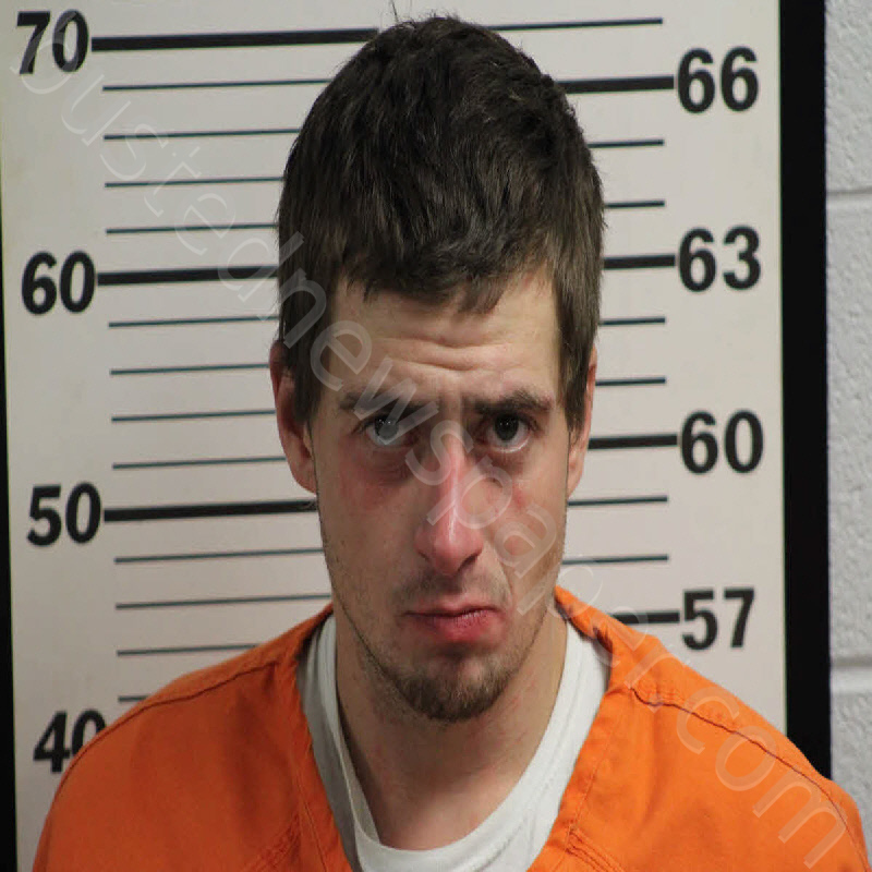 WEBB, CHAD RONALD LEON #, Jackson County, North Carolina - 2024-12-17 23:59:00