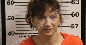 HENRY, TABITHA SHERELL | 2024-12-18 21:05:00 Jackson County, North Carolina Booking