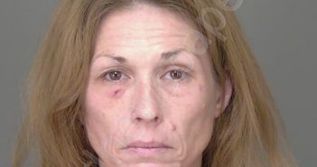 <B>MCINTYRE</B>, <B>JILL</B> <B>CHRISTINE</B> #, Highlands County, Florida - 2024-12-18 22:20:40