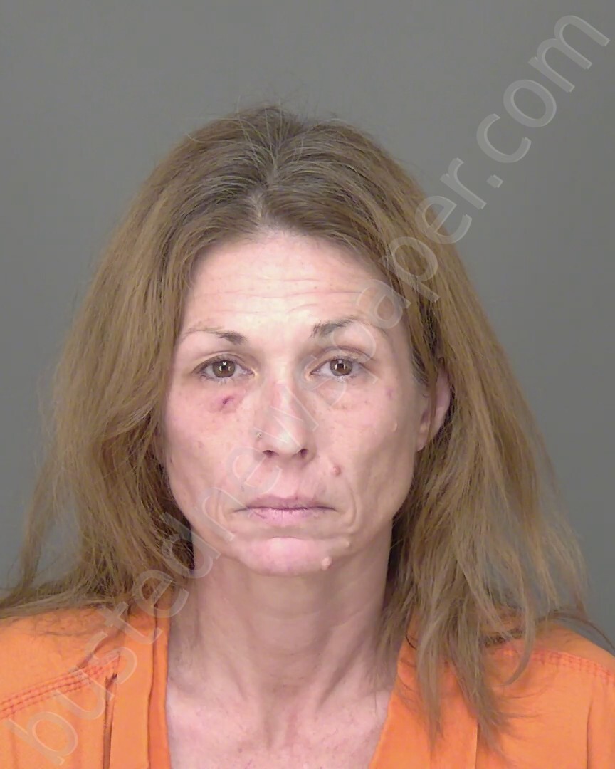 MCINTYRE, JILL CHRISTINE #, Highlands County, Florida - 2024-12-18 22:20:40