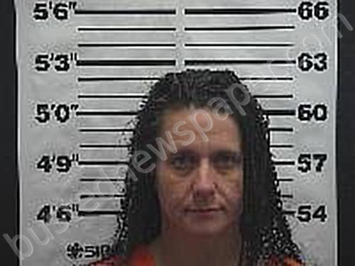 WILES, TONYA KAY #, Belmont County, Ohio - 2024-12-19