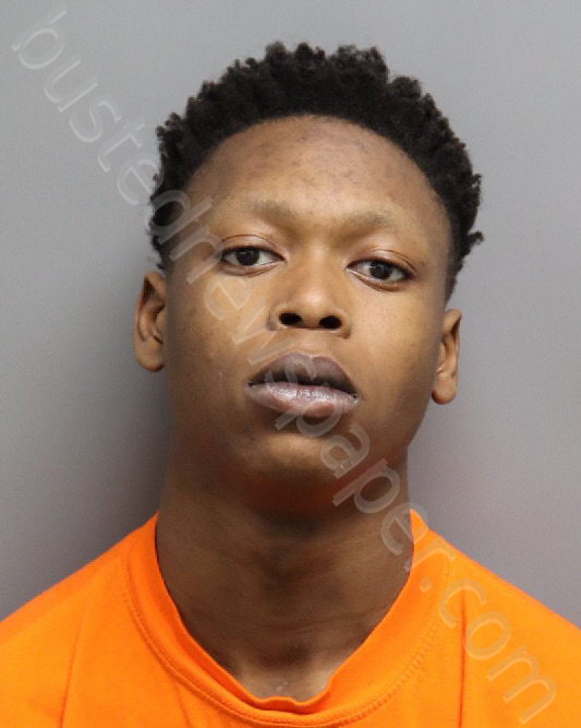 WYCYRUS LEE NEIMIAH GRANT #, Dorchester County, South Carolina - 2024-12-19 14:36:00