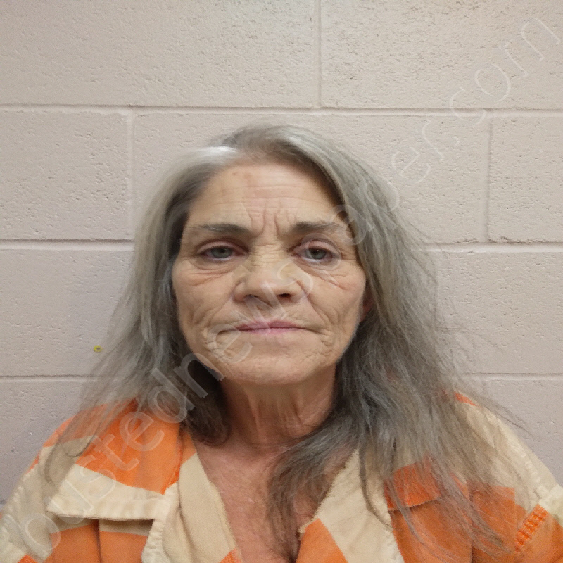 BALE, DEBORAH JUNE #, Brown County, Texas - 2024-12-19 23:04:00