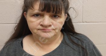 GOINS, LISA FAY | 2024-12-20 11:07:00 Brown County, Texas Booking