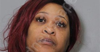 BREWER, SHAKIMA FREEMAN | 2024-12-20 Riverside Regional Jail, Virginia Booking