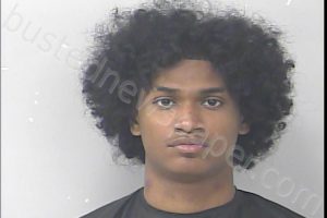 LOVEDAY, ISRAEL TREALON | 2024-12-20 00:19:00 St. Lucie County, Florida Booking