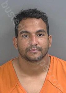 SARMIENTOGUERRA,REINALDO JESUS | 2024-12-20 Collier County, Florida Booking