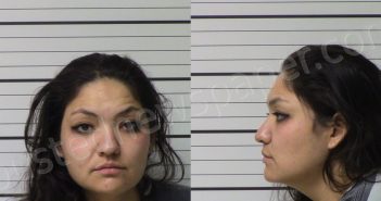 ORTIZ, YVETTE AILEEN | 2024-12-20 Kerr County, Texas Booking