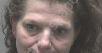 FARRELL, REBECCA MARIE | 2024-12-20 New Hanover County, North Carolina Booking