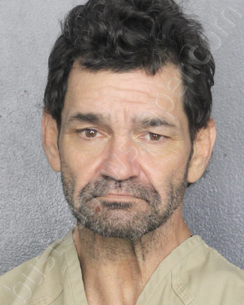 VAZQUEZ, DAVID ALLEN #, Broward County, Florida - 2024-12-20
