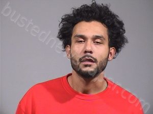 YOUNG, JERMAINE EDWARD | 2024-12-21 Trumbull County, Ohio Booking