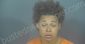 <B>JOHNSON</B>, <B>NATASHA</B> <B>PAULINE</B> #, St. Joseph County, Indiana - 2024-12-22 07:20:00