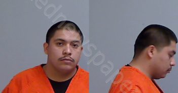 CASTILLO, PEDRO | 2024-12-22 Hidalgo County, Texas Booking