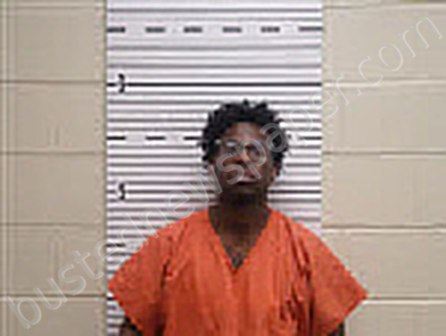 WILLIAMS, JAVONTE ONEIL #, Butler County, Alabama - 2024-12-22