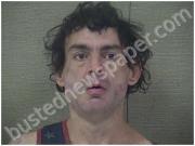 WOOD, LARRY | 2024-12-23 Harnett County, North Carolina Booking