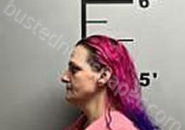 <B>TAYLOR</B>, <B>JESSICA</B> <B>LYNN</B> #, Benton County, Arkansas - 2024-12-23