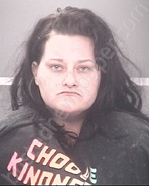 SMITH, DIANA KRISTINE #, Pasco County, Florida - 2024-12-24 09:13:00