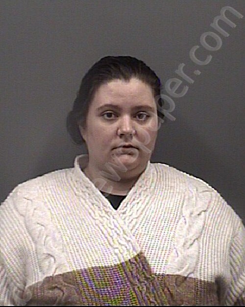 MCDONALD, BROOKE LYNN #, Rowan County, North Carolina - 2024-12-25 22:28:00