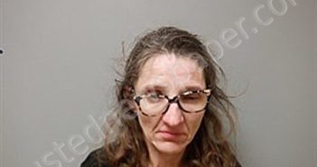 COLLINS, TRACIE DIANA | 2024-12-25 18:18:00 Craighead County, Arkansas Booking