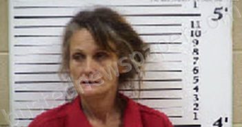 CARROLL, LISA MICHELLE | 2024-12-26 17:04:00 Cherokee County, North Carolina Booking