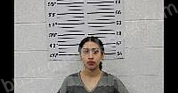 <B>MARIN</B>–<B>PIMENTEL</B>, <B>ITZEL</B> <B>NMN</B> #, Dakota County, Nebraska - 2024-12-27