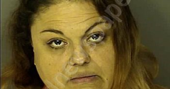 <B>PHILLIPS</B>, <B>SARAH</B> JEAN #, Horry County, South Carolina - 2024-12-27 16:54:00