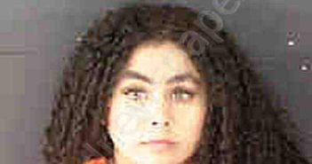 <B>MOLINA</B> <B>VIELMA</B>, <B>MILANYELI</B> <B>VIELMA</B>,<B>MILANYELI</B> #, Sarasota County, Florida - 2024-12-28