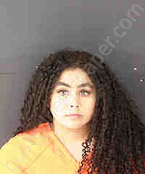 MOLINA VIELMA, MILANYELI VIELMA,MILANYELI #, Sarasota County, Florida - 2024-12-28