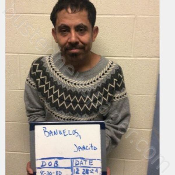 BANUELOS, JANCITO #, Kane County, Illinois - 2024-12-28 08:11:00